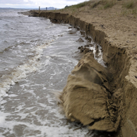Jonathan Barran Dune Restoration Photography, Dune Restoration Photographer in Rotorua NZ