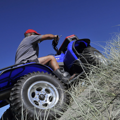 Jonathan Barran Dune Restoration Photography, Dune Restoration Photographer in Rotorua NZ