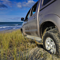 Jonathan Barran Dune Restoration Photography, Dune Restoration Photographer in Rotorua NZ