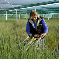 Jonathan Barran Dune Restoration Photography, Dune Restoration Photographer in Rotorua NZ