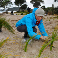 Jonathan Barran Dune Restoration Photography, Dune Restoration Photographer in Rotorua NZ