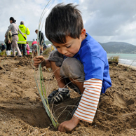Jonathan Barran Dune Restoration Photography, Dune Restoration Photographer in Rotorua NZ