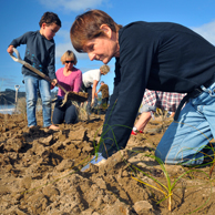 Jonathan Barran Dune Restoration Photography, Dune Restoration Photographer in Rotorua NZ
