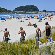 Jonathan Barran Dune Restoration Photography, Dune Restoration Photographer in Rotorua NZ