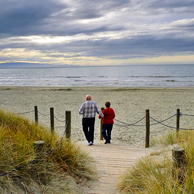 Jonathan Barran Dune Restoration Photography, Dune Restoration Photographer in Rotorua NZ