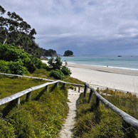 Jonathan Barran Dune Restoration Photography, Dune Restoration Photographer in Rotorua NZ