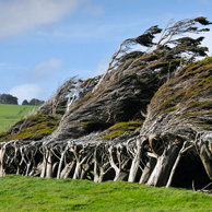 Jonathan Barran Environment Photography, Environment Photographer in Rotorua NZ