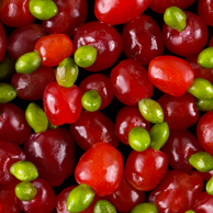 Jonathan Barran Flora Photography, Flora Photographer in Rotorua NZ