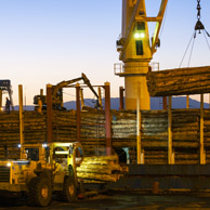 Jonathan Barran Forestry Photography, Forestry Photographer in Rotorua NZ