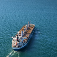 Jonathan Barran Forestry Photography, Forestry Photographer in Rotorua NZ