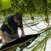 Jonathan Barran Horticulture Photography, Horticulture Photographer in Rotorua NZ