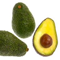 Jonathan Barran Horticulture Photography, Horticulture Photographer in Rotorua NZ