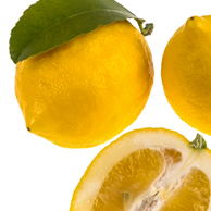 Jonathan Barran Horticulture Photography, Horticulture Photographer in Rotorua NZ