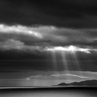 Jonathan Barran Forest Research Photography, NZ Landscape Photographer in Rotorua NZ
