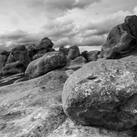 Jonathan Barran Forest Research Photography, NZ Landscape Photographer in Rotorua NZ