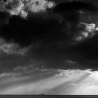 Jonathan Barran Forest Research Photography, NZ Landscape Photographer in Rotorua NZ