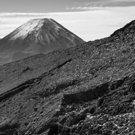 Jonathan Barran Forest Research Photography, NZ Landscape Photographer in Rotorua NZ