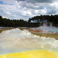 Jonathan Barran Thermal Photography, Thermal Photographer in Rotorua NZ