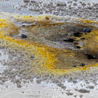 Jonathan Barran Thermal Photography, Thermal Photographer in Rotorua NZ