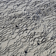 Jonathan Barran Thermal Photography, Thermal Photographer in Rotorua NZ