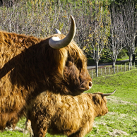 Jonathan Barran Tourism Photography, Tourism Photographer in Rotorua NZ