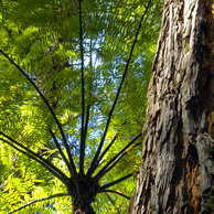 Jonathan Barran Tourism Photography, Tourism Photographer in Rotorua NZ