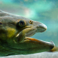 Jonathan Barran Tourism Photography, Tourism Photographer in Rotorua NZ