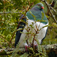 Jonathan Barran Tourism Photography, Tourism Photographer in Rotorua NZ