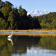 Jonathan Barran Tourism Photography, Tourism Photographer in Rotorua NZ
