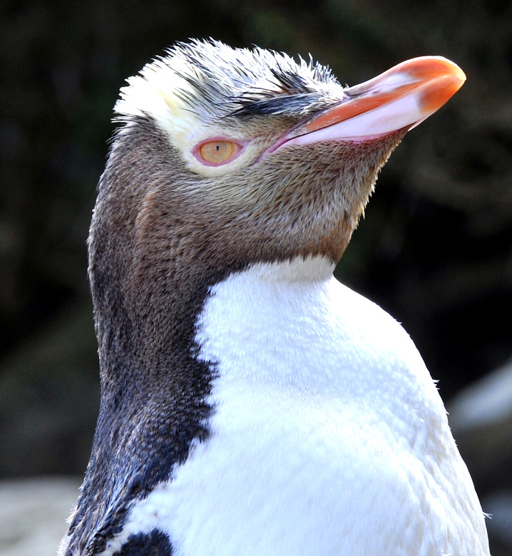 Jonathan Barran Tourism Photography, Tourism Photographer in Rotorua NZ