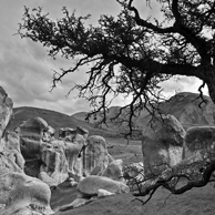 Jonathan Barran Tourism Photography, Tourism Photographer in Rotorua NZ