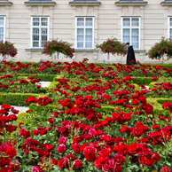 Jonathan Barran Travel Photography, Travel Photographer in Rotorua NZ