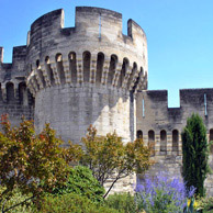 Jonathan Barran Travel Photography, Travel Photographer in Rotorua NZ