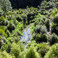 Jonathan Barran Clean Streams Photography, Clean Streams Photographer in Rotorua NZ