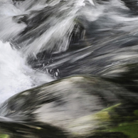 Jonathan Barran Clean Streams Photography, Clean Streams Photographer in Rotorua NZ